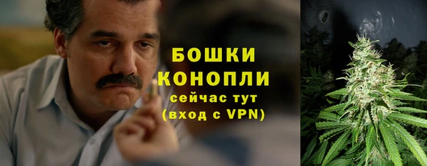 PSILOCYBIN Абаза