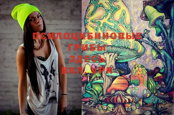 PSILOCYBIN Абаза