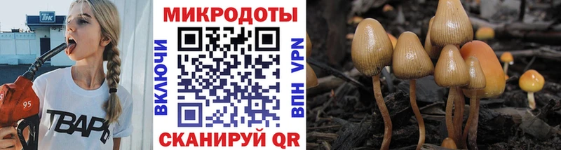 Галлюциногенные грибы Magic Shrooms  купить наркоту  Шарья 